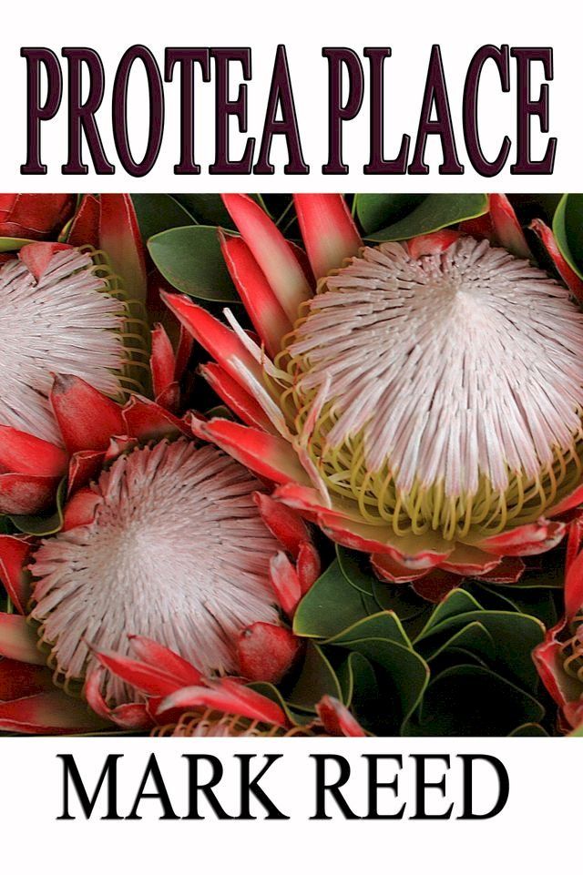  Protea Place(Kobo/電子書)