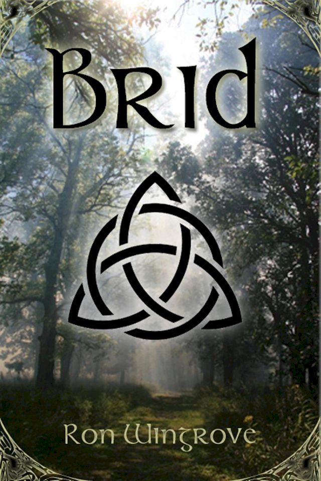  Brid(Kobo/電子書)