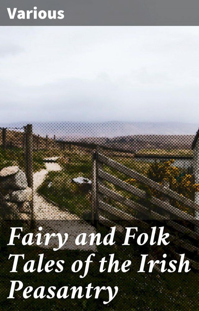  Fairy and Folk Tales of the Irish Peasantry(Kobo/電子書)