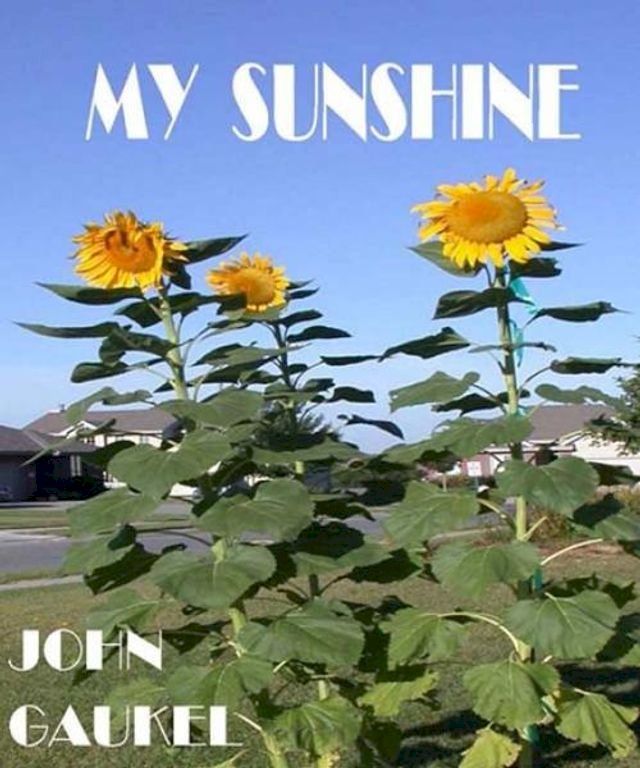  My Sunshine(Kobo/電子書)