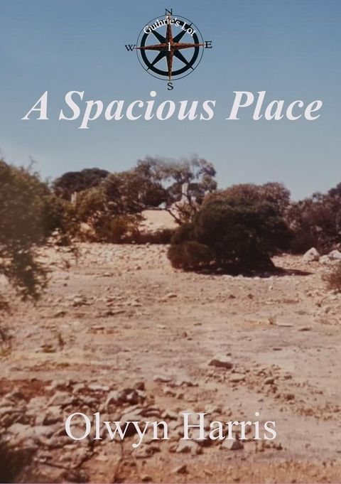 A Spacious Place(Kobo/電子書)