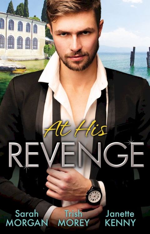 At His Revenge - 3 Book Box Set(Kobo/電子書)