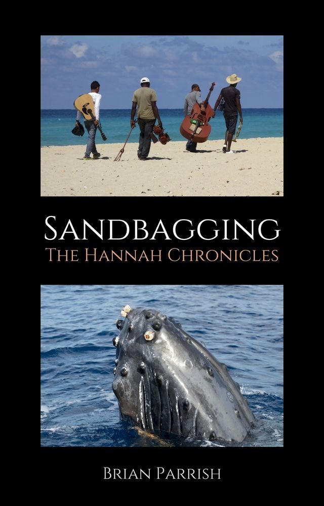  Sandbagging: The Hannah Chronicles(Kobo/電子書)