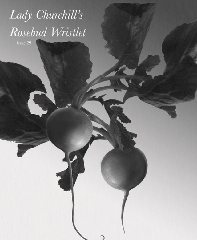  Lady Churchill's Rosebud Wristlet No. 29(Kobo/電子書)