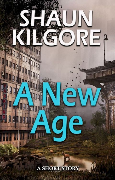 A New Age(Kobo/電子書)