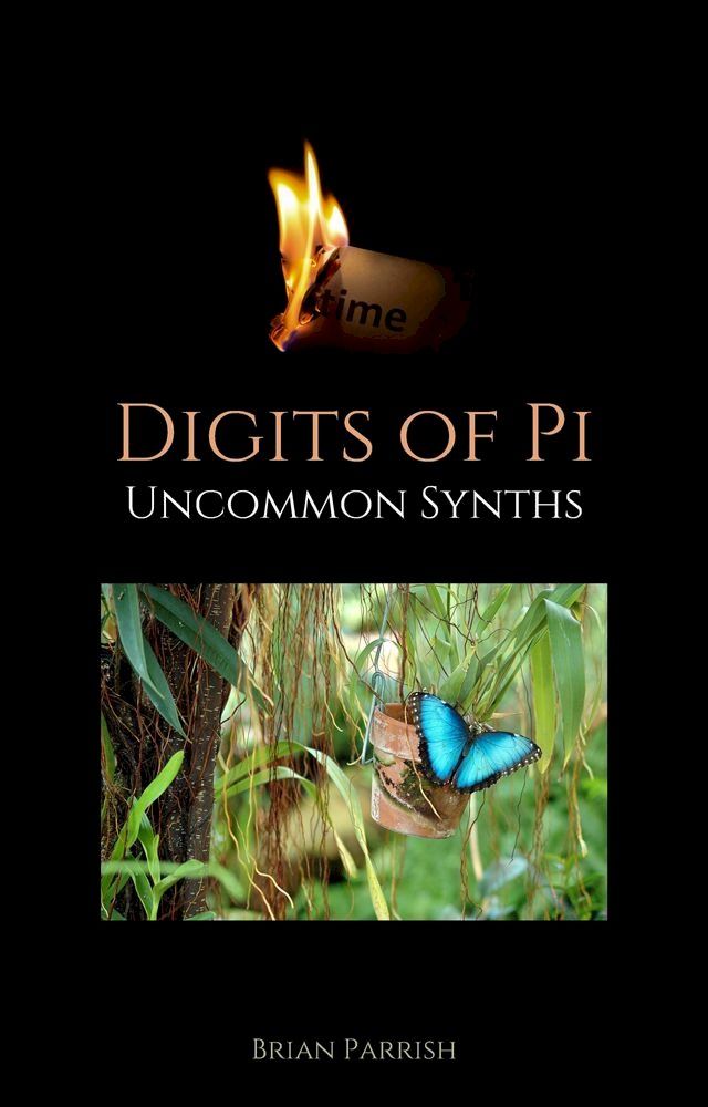  Digits of Pi: Uncommon Synths(Kobo/電子書)