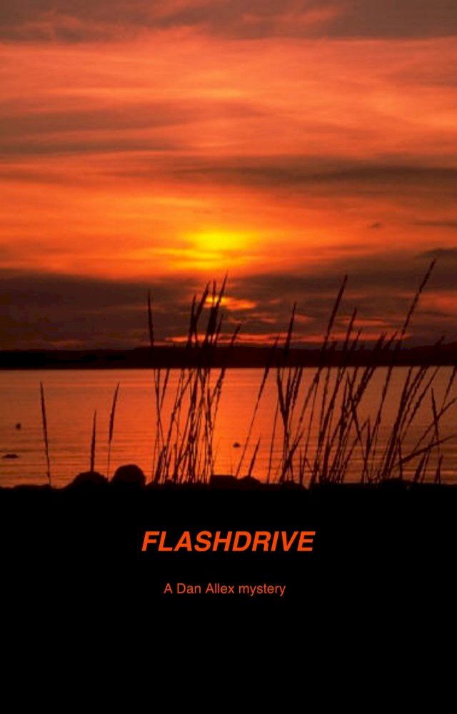  Flashdrive(Kobo/電子書)