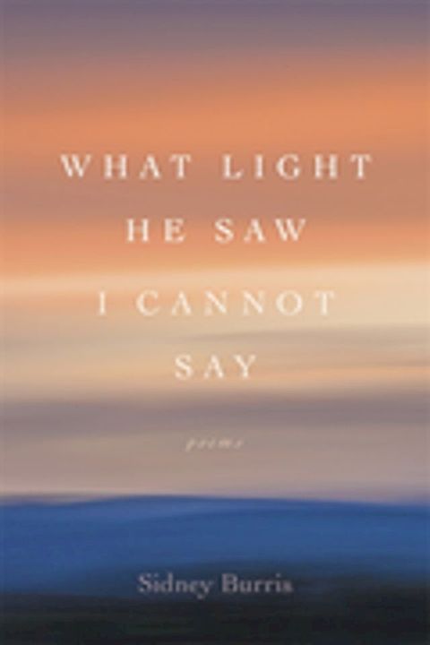 What Light He Saw I Cannot Say(Kobo/電子書)