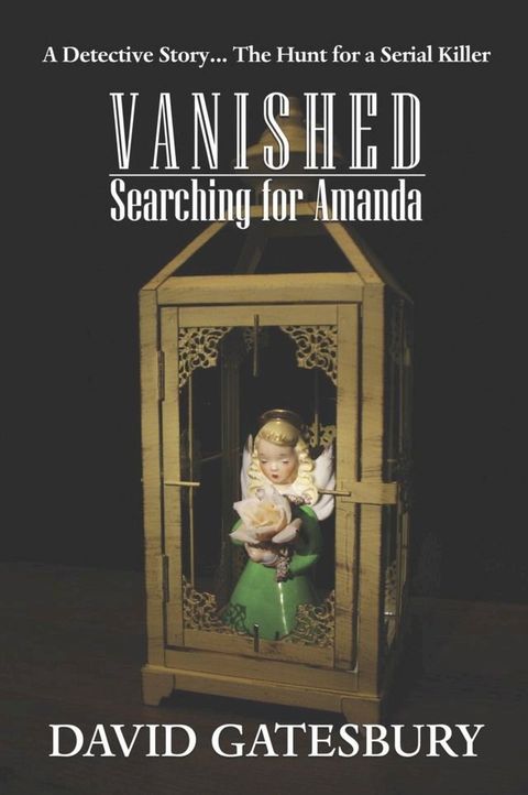 Vanished: Searching For Amanda(Kobo/電子書)