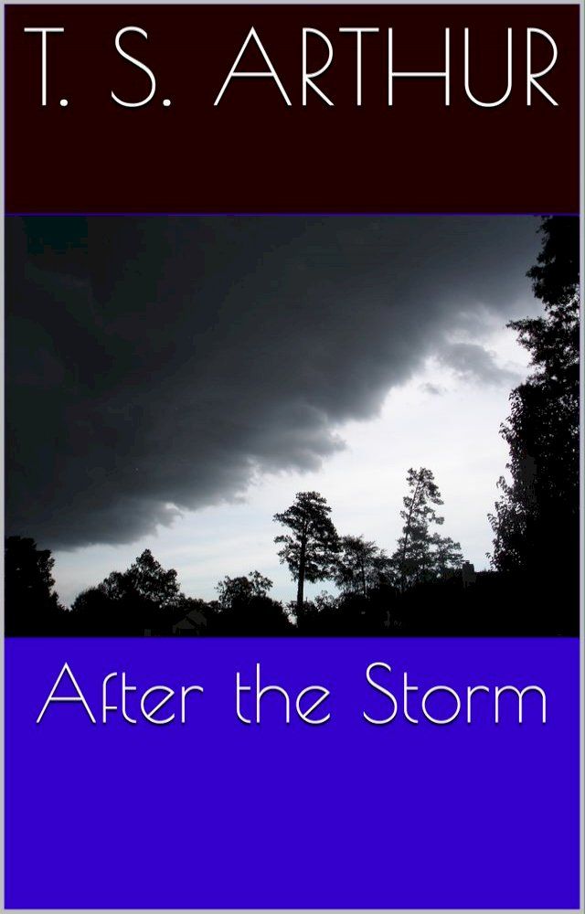  After the Storm(Kobo/電子書)