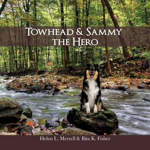 Towhead and Sammy The Hero(Kobo/電子書)