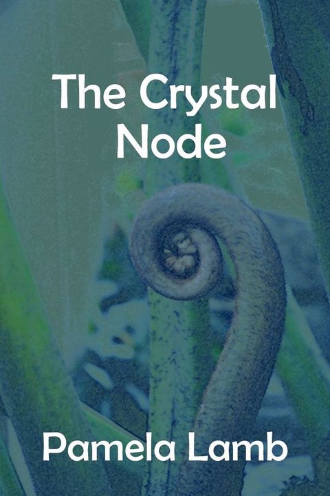 The Crystal Node(Kobo/電子書)