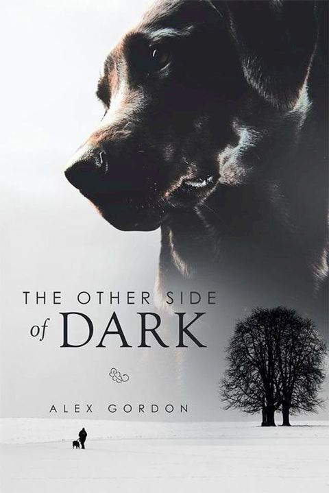 The Other Side of Dark(Kobo/電子書)