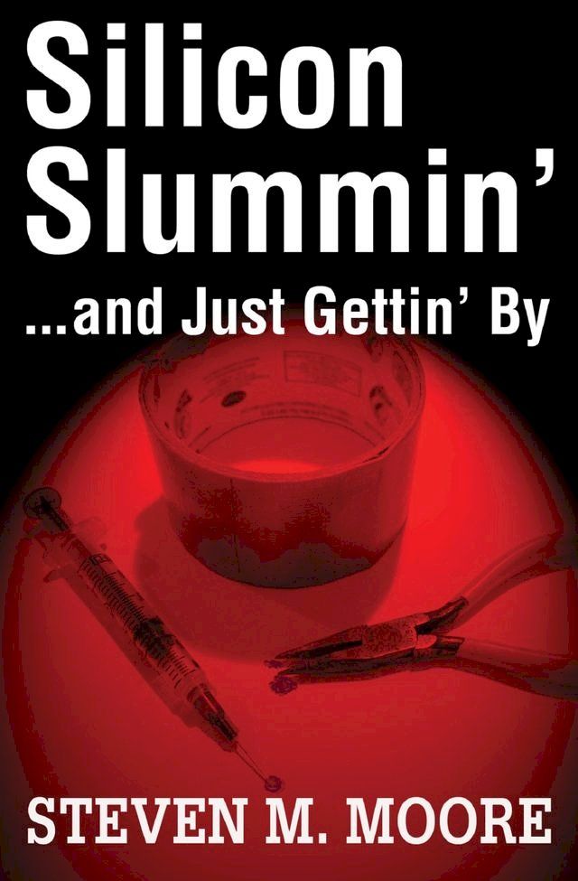  Silicon Slummin'...and Just Gettin' By(Kobo/電子書)