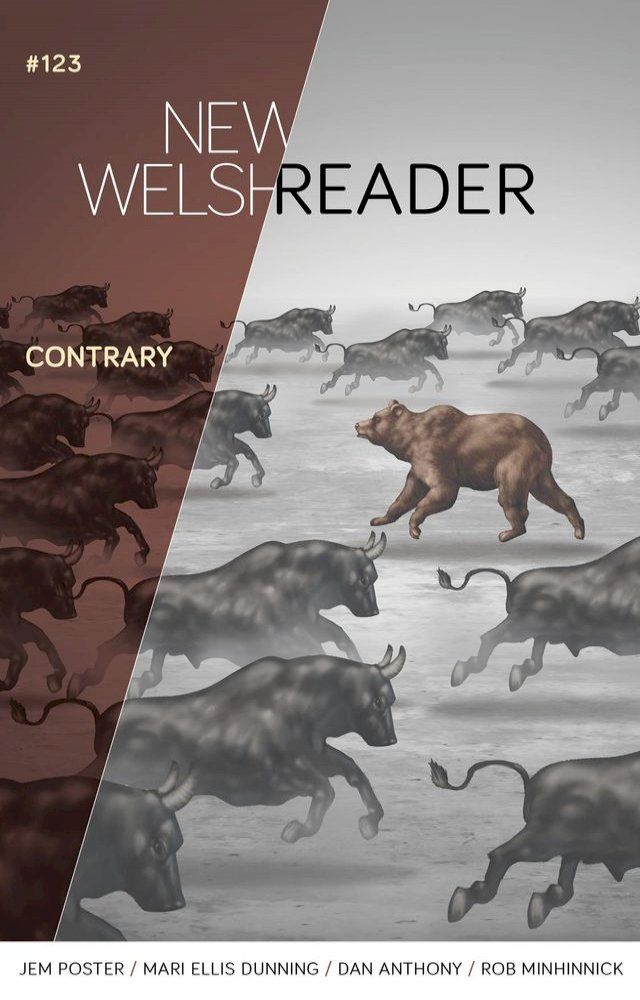  New Welsh Reader(Kobo/電子書)