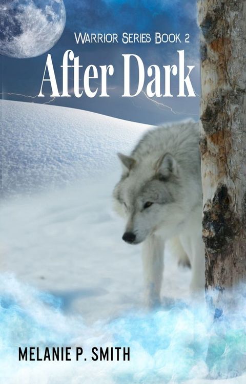 After Dark: Warrior Series Book 2(Kobo/電子書)