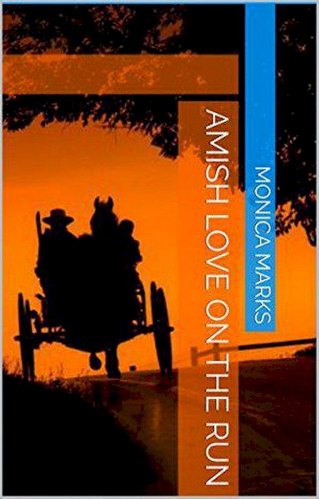  Amish Love On The Run(Kobo/電子書)