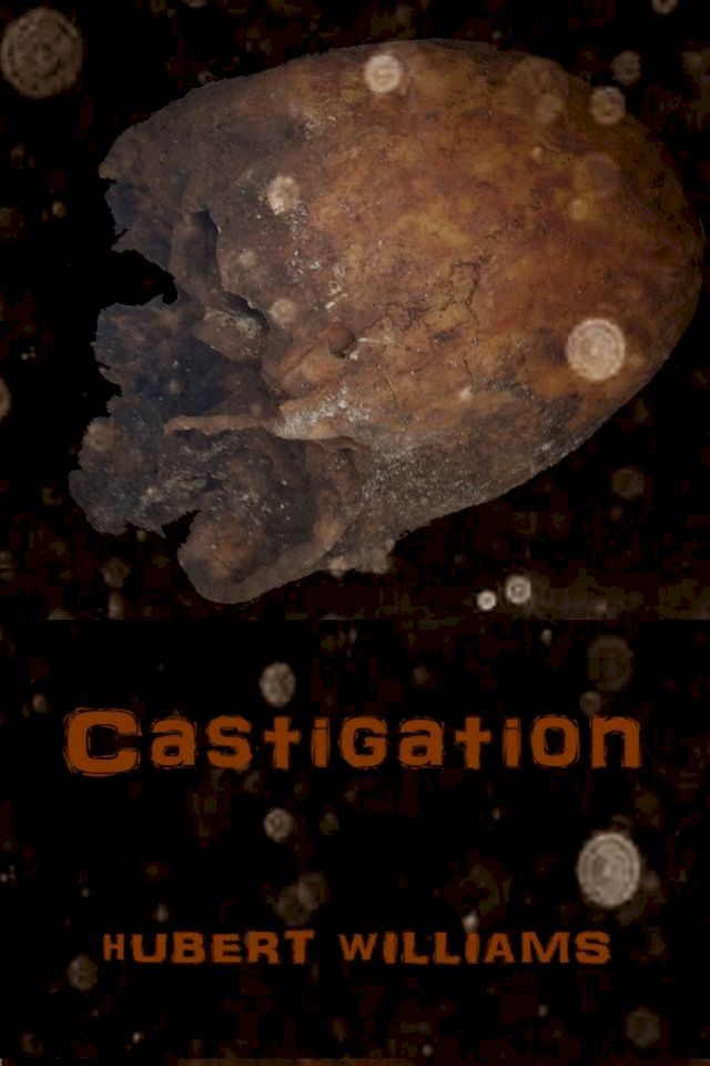  Castigation(Kobo/電子書)