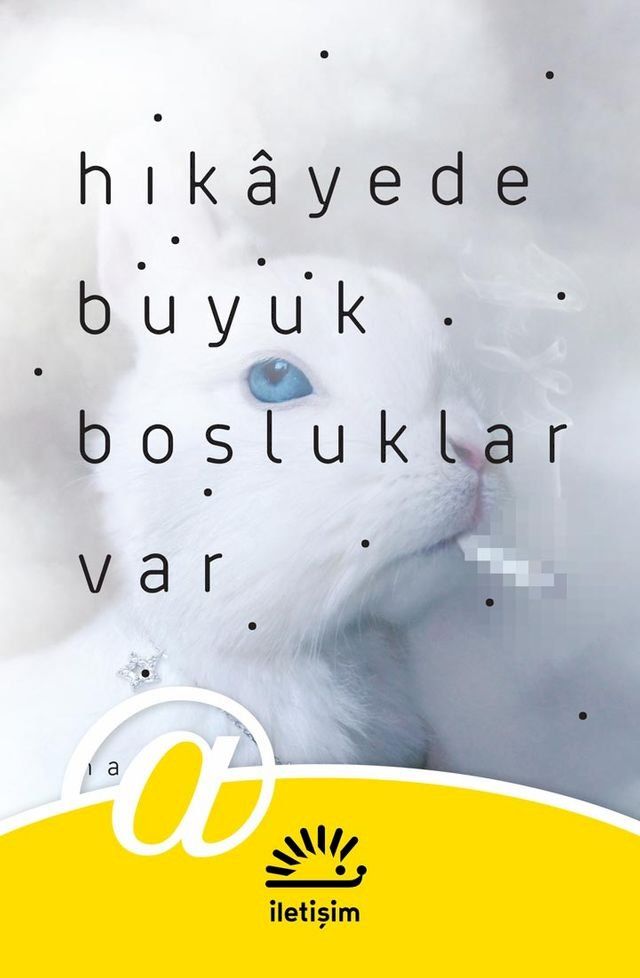  Hikâyede Büyük Boşluklar Var(Kobo/電子書)