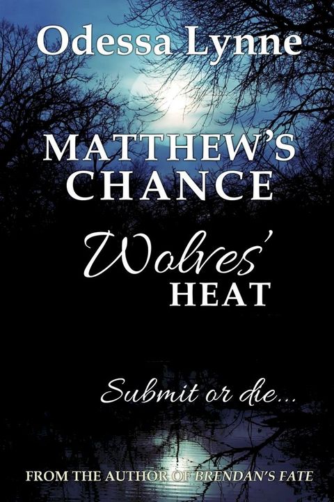 Matthew's Chance(Kobo/電子書)