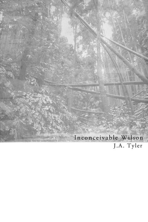 Inconceivable Wilson(Kobo/電子書)