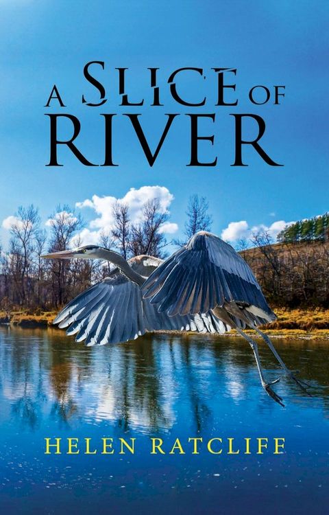 A Slice of River(Kobo/電子書)