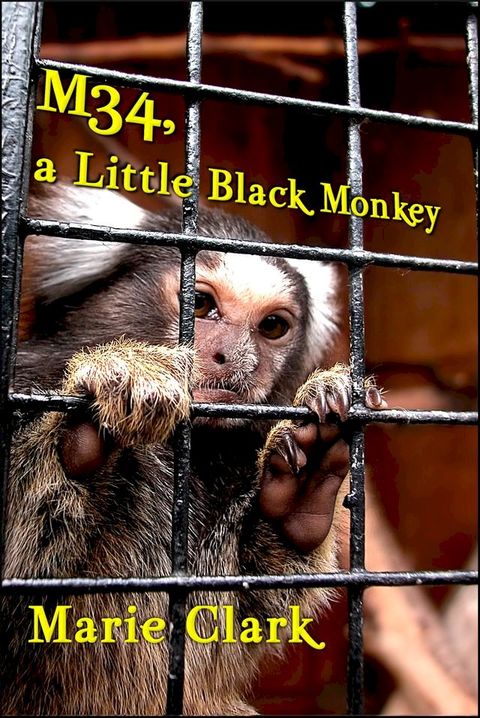 M34, a Little Black Monkey(Kobo/電子書)