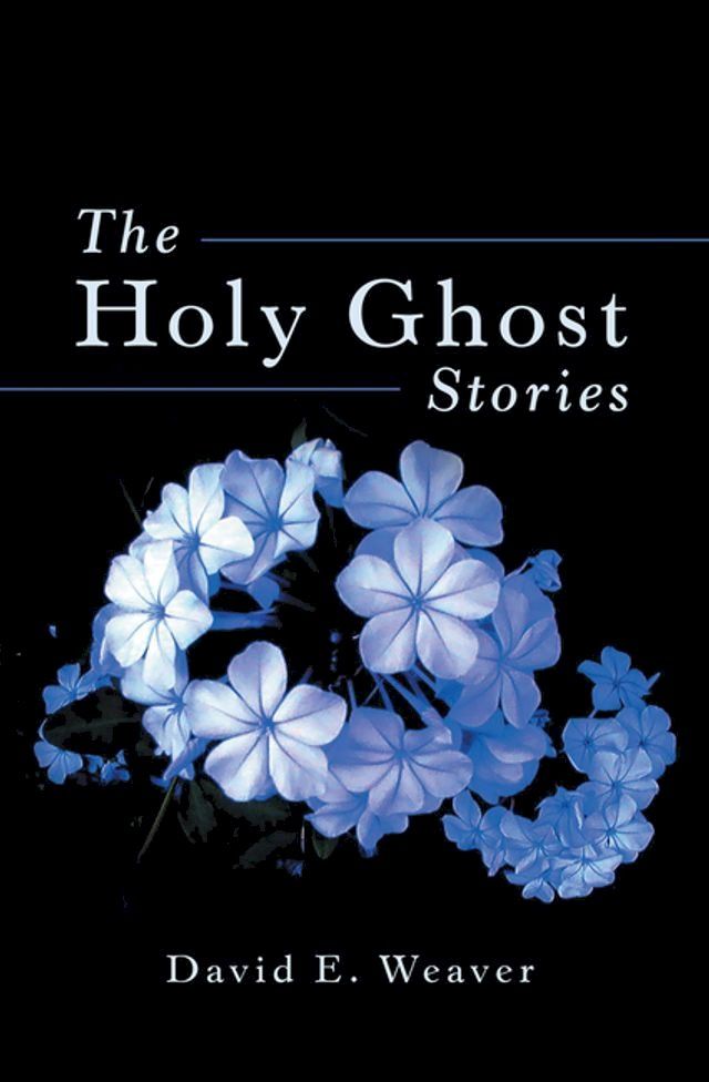  The Holy Ghost Stories(Kobo/電子書)