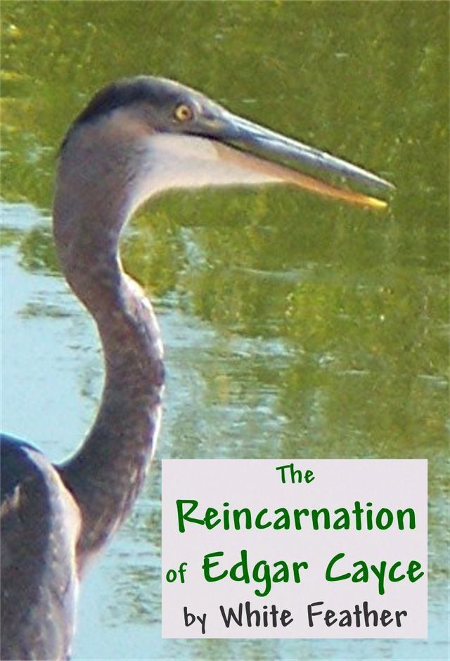  The Reincarnation of Edgar Cayce(Kobo/電子書)