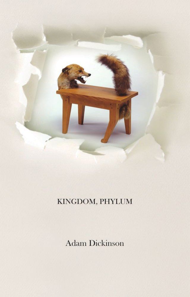  Kingdom, Phylum(Kobo/電子書)