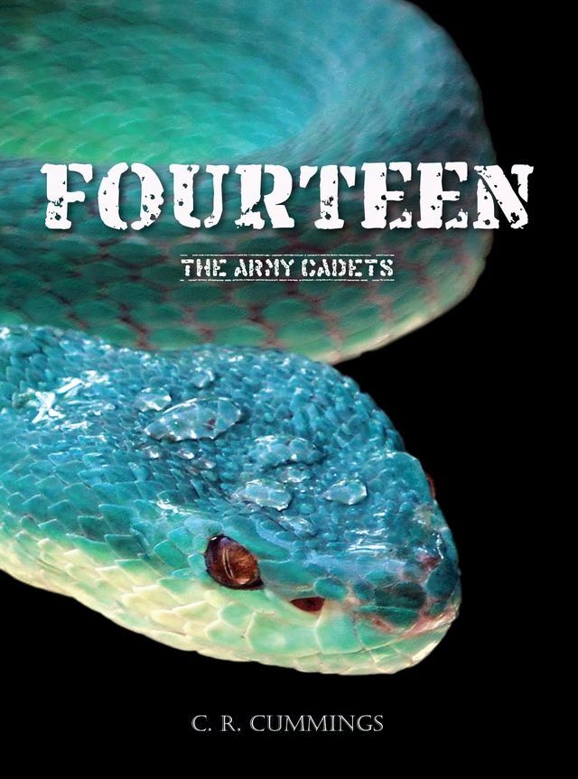  Fourteen(Kobo/電子書)