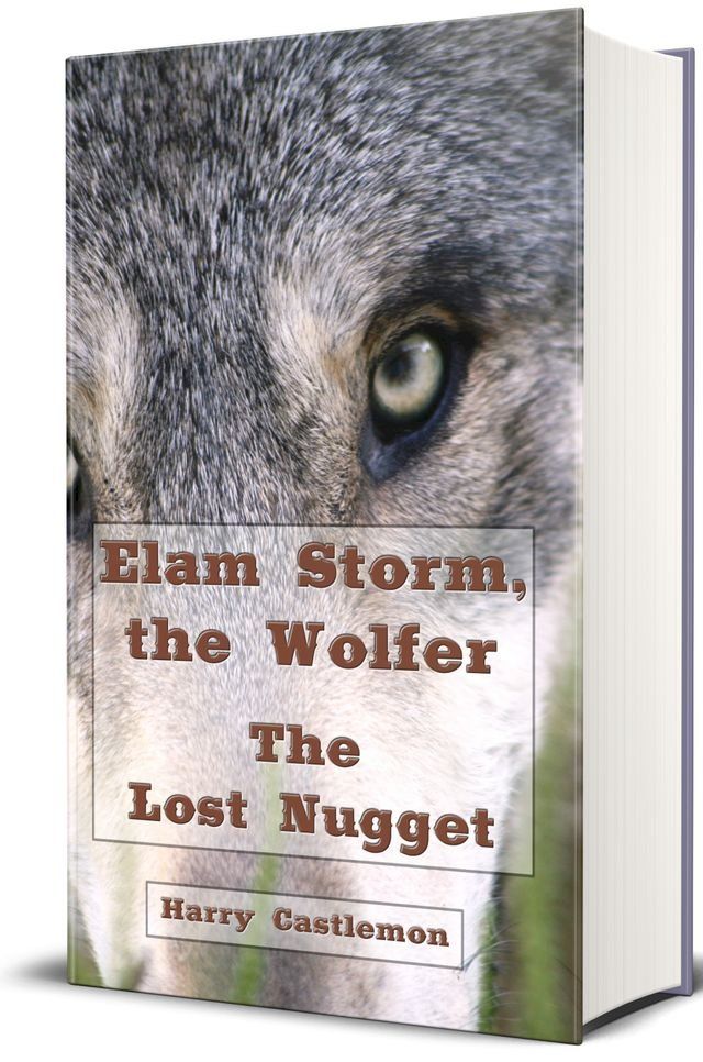  Elam Storm, The Wolfer (Illustrated Edition(Kobo/電子書)