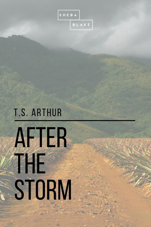  After the Storm(Kobo/電子書)