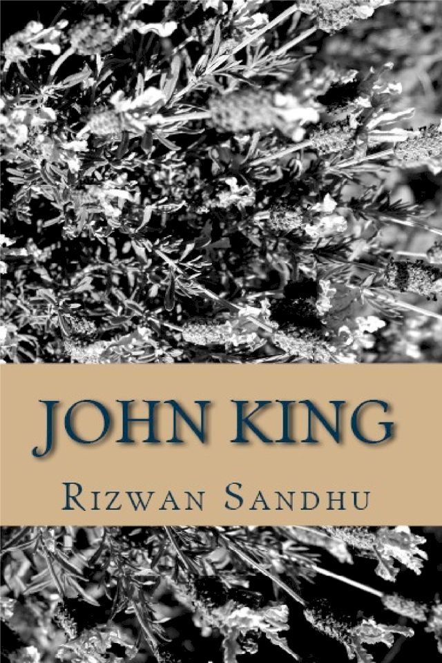  John King(Kobo/電子書)