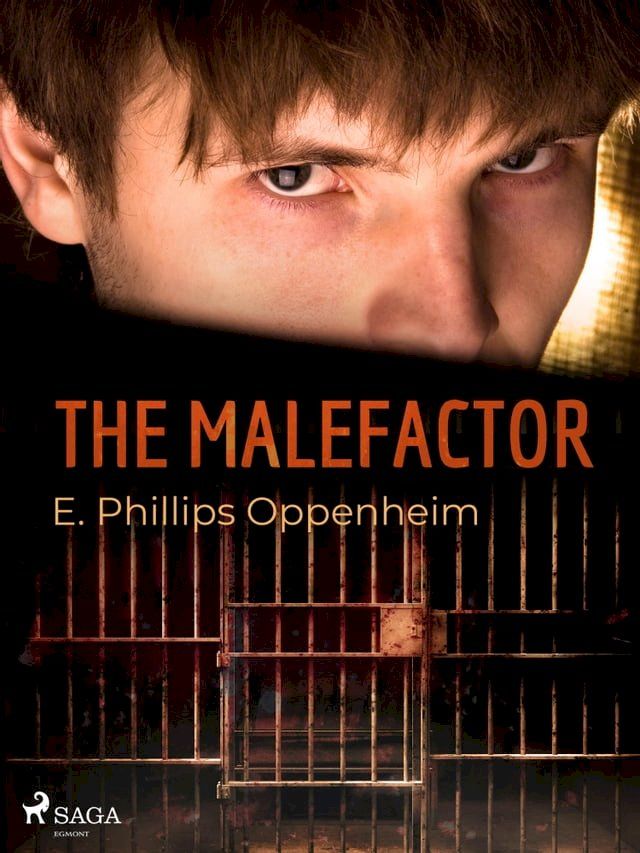  The Malefactor(Kobo/電子書)