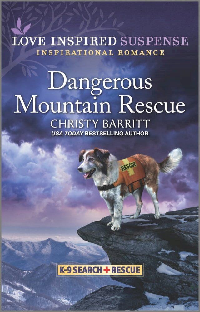  Dangerous Mountain Rescue(Kobo/電子書)