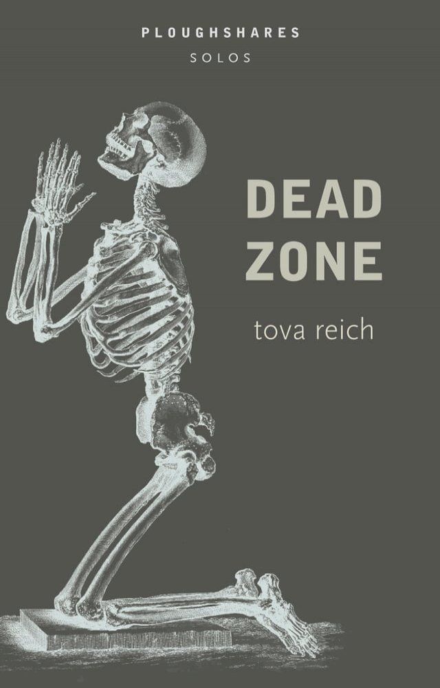  Dead Zone (Ploughshares Solo)(Kobo/電子書)