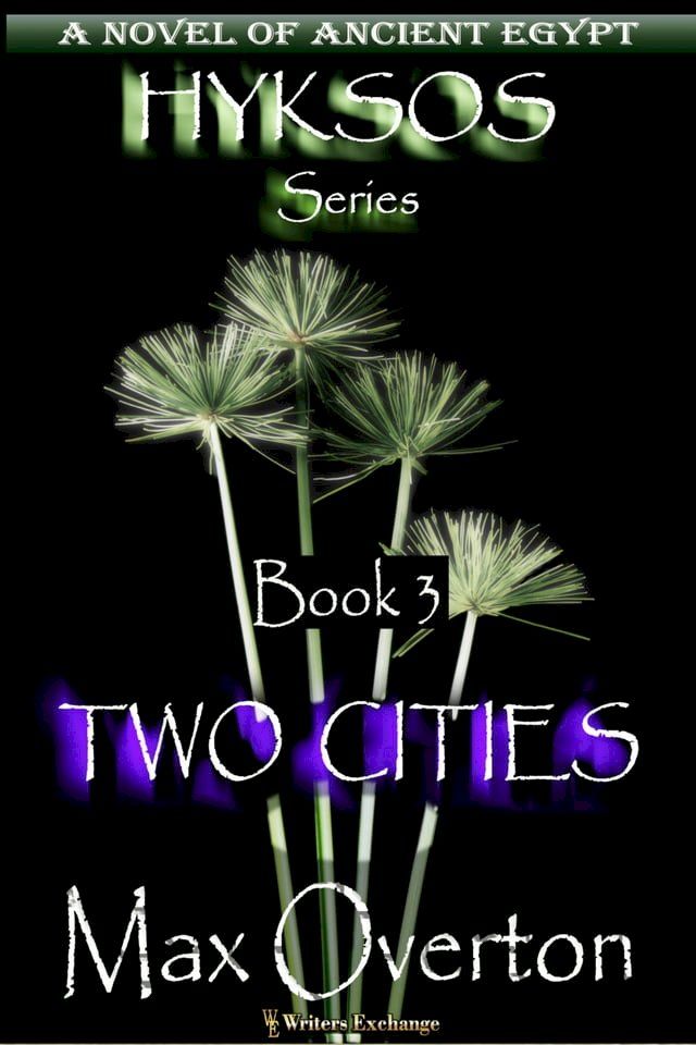  Two Cities(Kobo/電子書)