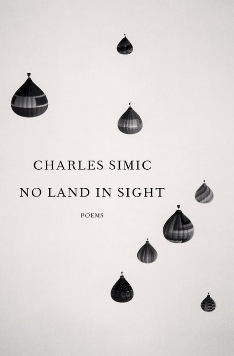 No Land in Sight(Kobo/電子書)