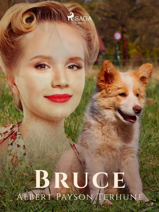  Bruce(Kobo/電子書)