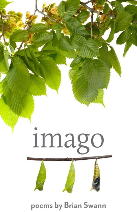 Imago(Kobo/電子書)