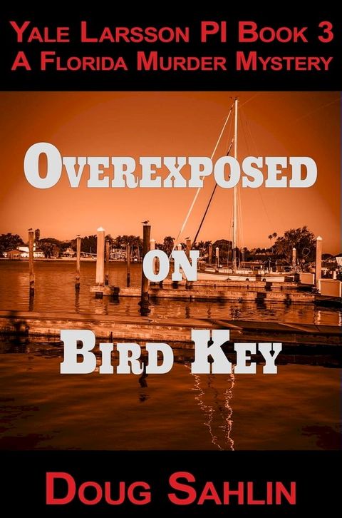 Overexposed on Bird Key(Kobo/電子書)