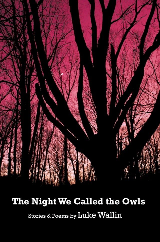  The Night We Called the Owls(Kobo/電子書)