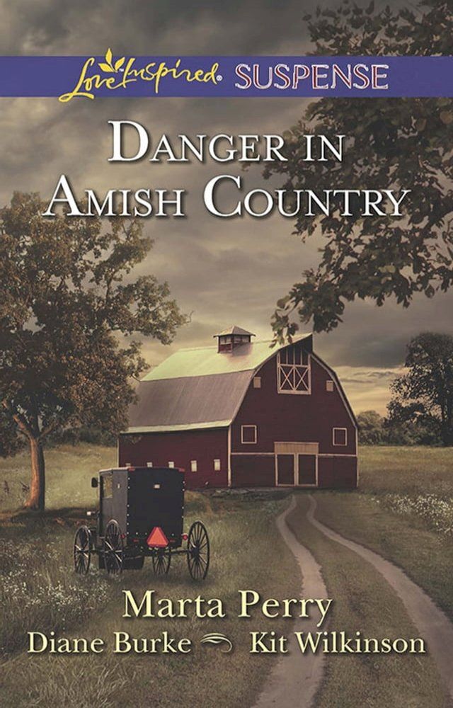  Danger In Amish Country: Fall from Grace / Dangerous Homecoming / Return to Willow Trace (Mills & Boon Love Inspired Suspense)(Kobo/電子書)