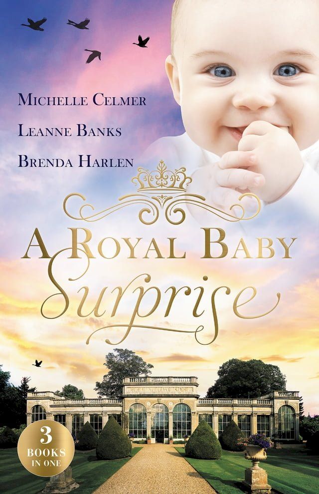  A Royal Baby Surprise/The Illegitimate Prince's Baby/How To Catch A Prince/The Prince's Second Chance(Kobo/電子書)