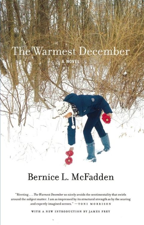 The Warmest December(Kobo/電子書)