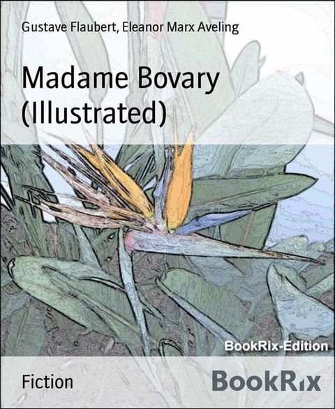 Madame Bovary (Illustrated)(Kobo/電子書)