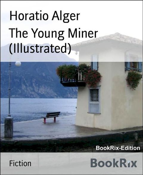 The Young Miner (Illustrated)(Kobo/電子書)