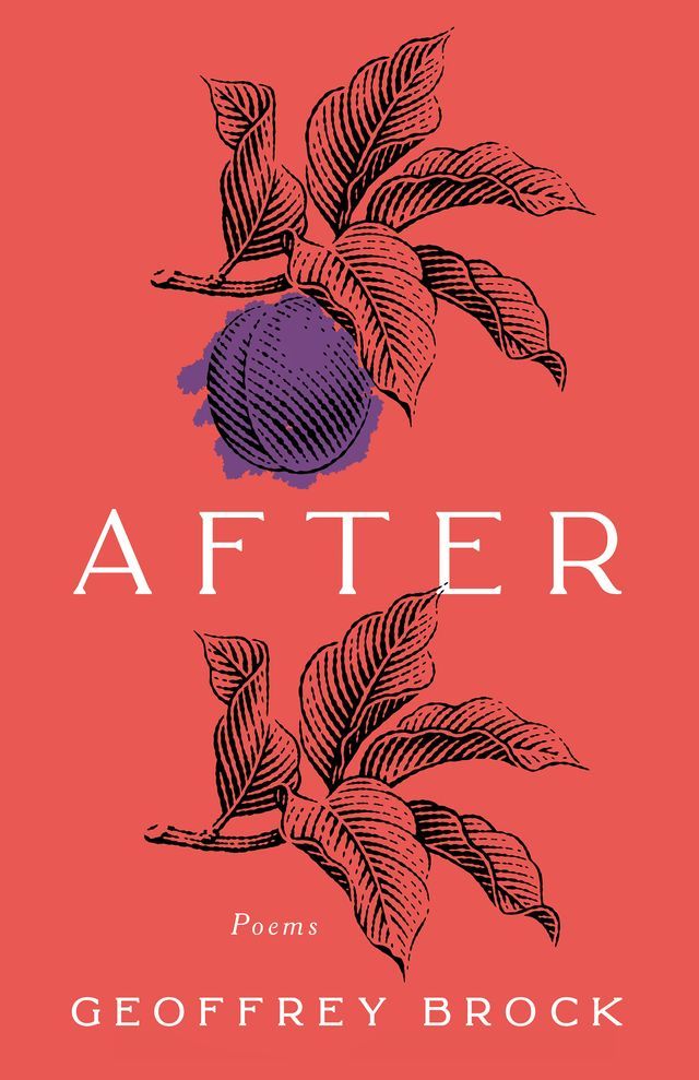  After(Kobo/電子書)