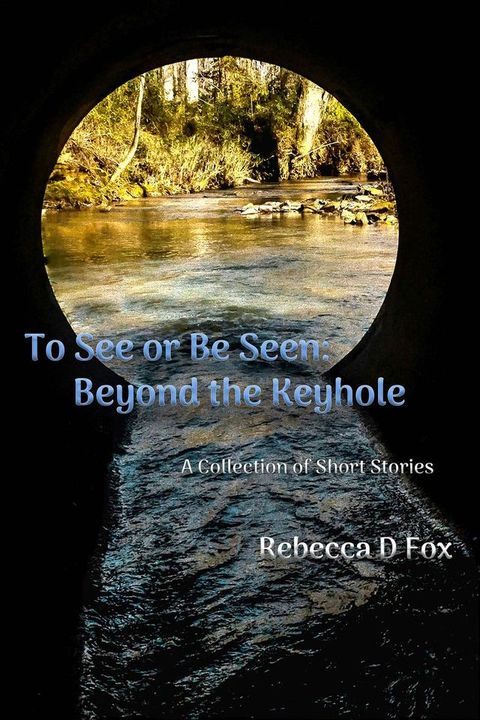 To See or Be Seen: Beyond The Keyhole(Kobo/電子書)